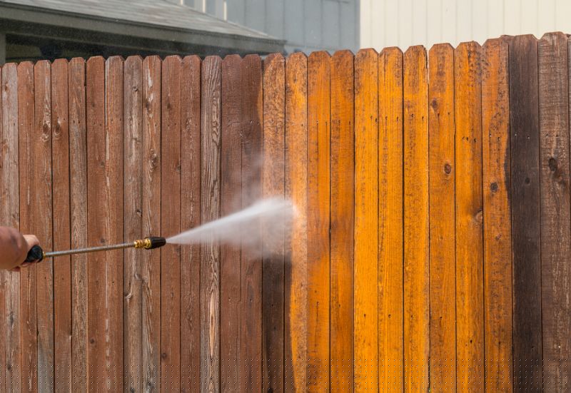 Iron Fence Pressure Washing