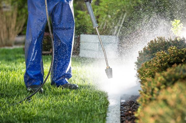 Curb Cleaning in Elkhart