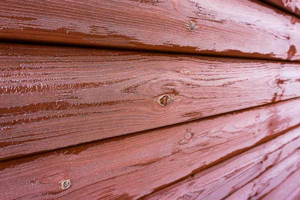 Cedar Siding Cleaning in Elkhart