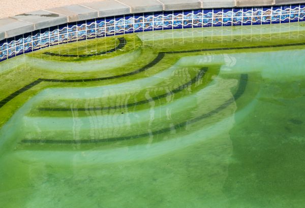 Pool Deck Algae Removal in Elkhart