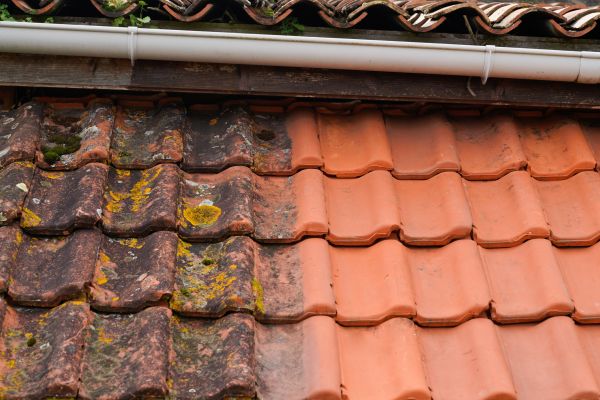 Industrial Roof Cleaning in Elkhart