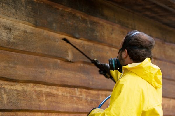 Cost of Cedar Siding Washing in Elkhart